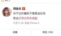 安岳新闻爆料最新消息今天,突发！今日最新事件详情揭晓